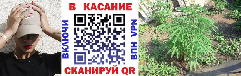 Где купить Вуктыл ГАШИШ  Конопля  АМФ  Меф мяу мяу 
