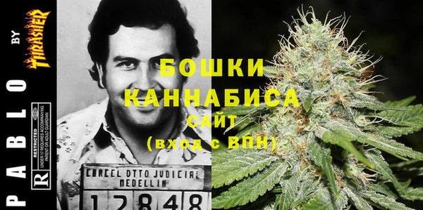 гидропоника Белокуриха