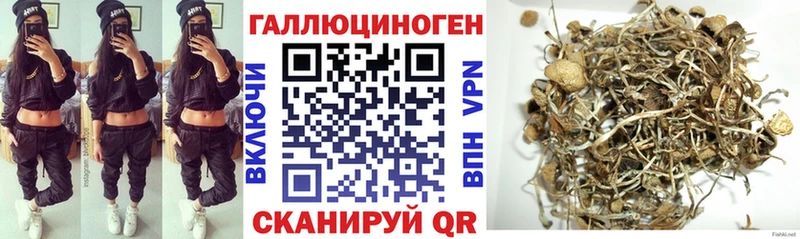 Псилоцибиновые грибы MAGIC MUSHROOMS  Вуктыл 